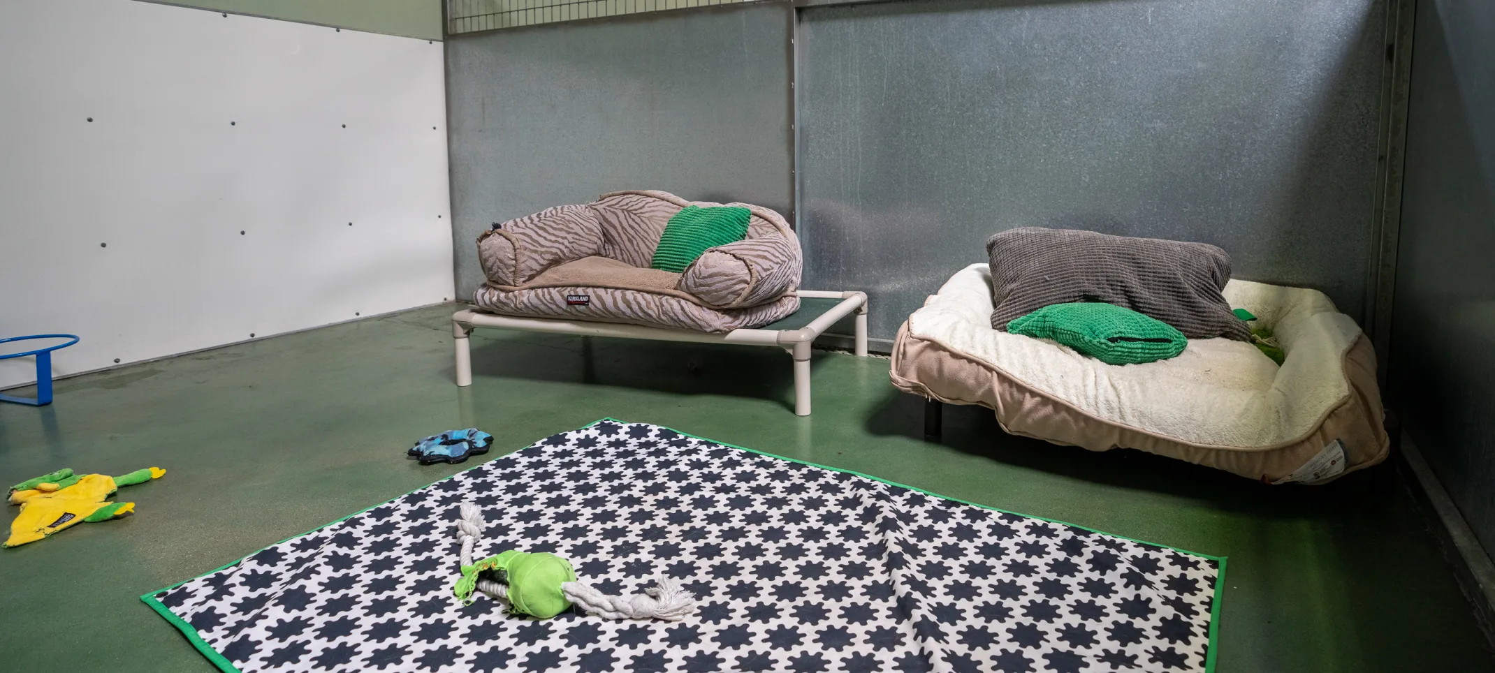 Dog beds in boarding area at K9s Only Tarzana